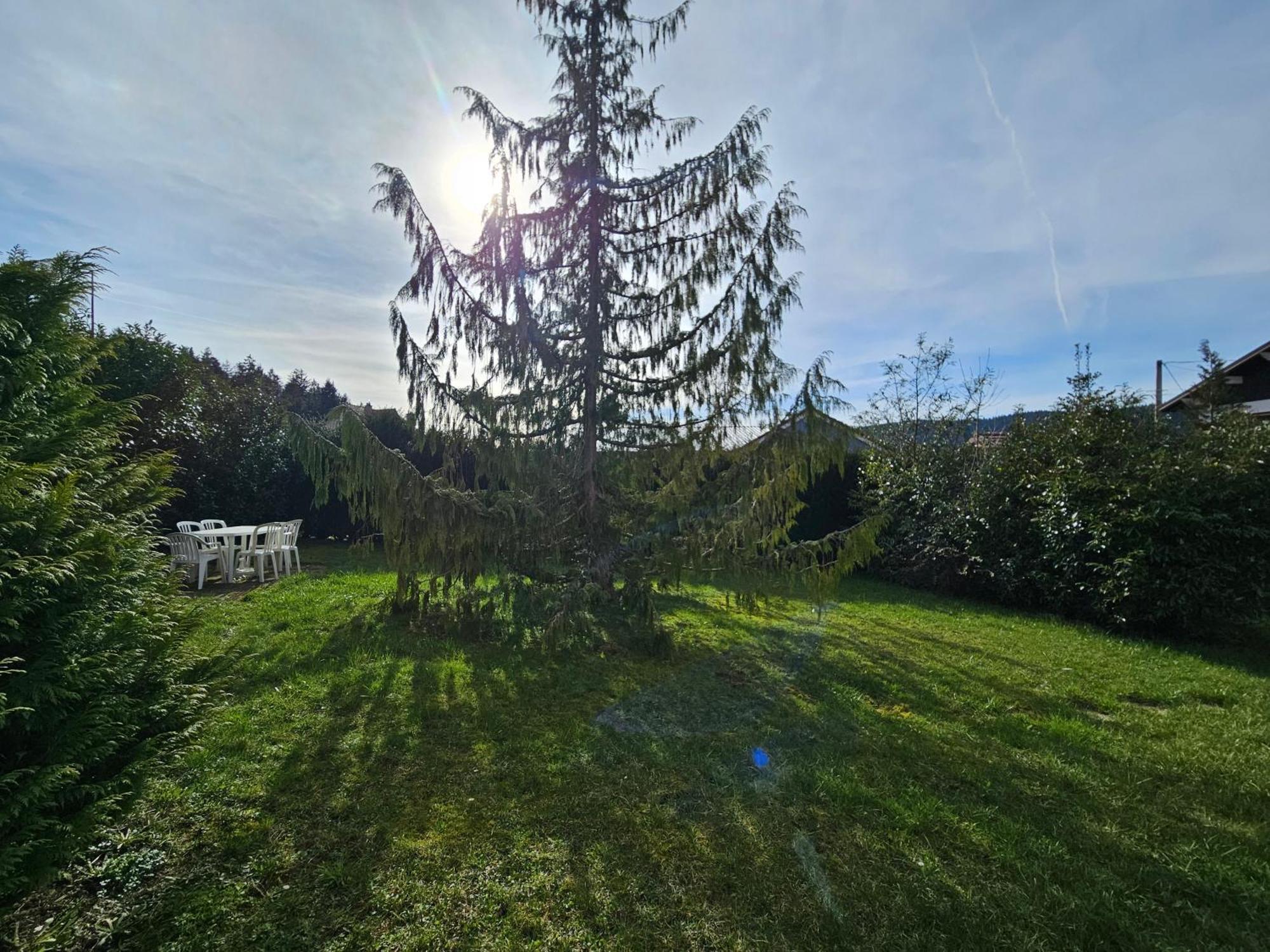Appartement Chaleureux Gerardmer Proche Foret Екстериор снимка
